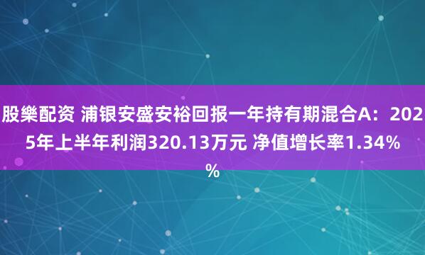 股樂配资 浦银安盛安裕回报一年持有期混合A：2025年上半年利润320.13万元 净值增长率1.34%