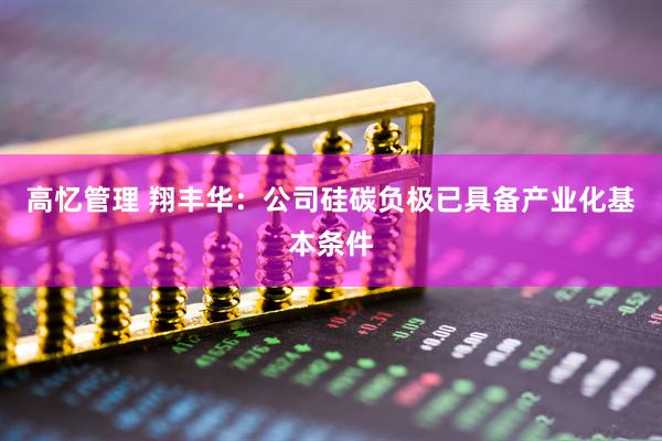 高忆管理 翔丰华：公司硅碳负极已具备产业化基本条件