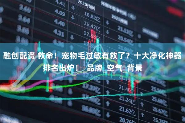 融创配资 救命！宠物毛过敏有救了？十大净化神器排名出炉！_品牌_空气_背景