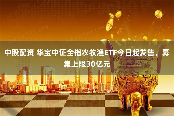 中股配资 华宝中证全指农牧渔ETF今日起发售，募集上限30亿元